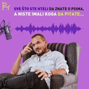 Sve što ste hteli da znate o psima a niste imali koga da pitate