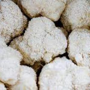Exploring the World of Nootropic Mushrooms