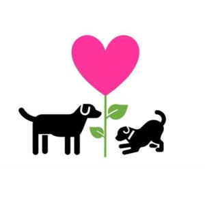 Make Your Heart Bloom