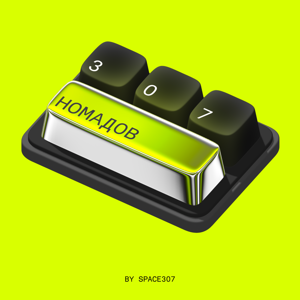 307 номадов
