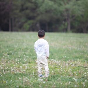 Andrew的晚安故事