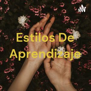 Estilos De Aprendizaje