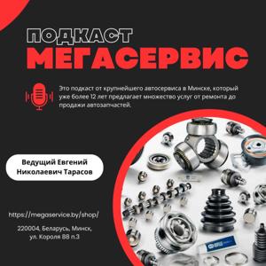 Мегасервис