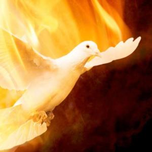 Saved and Sanctified