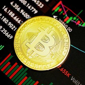 Crypto Currency as Investment or Trading?