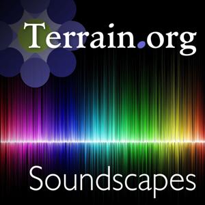 Soundscapes