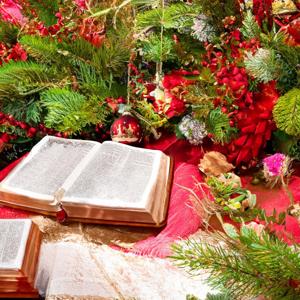 Daily December Devotional