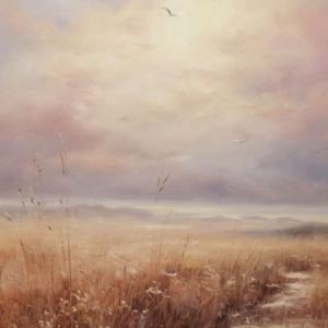 the wind