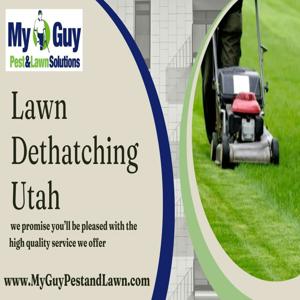 Lawn Dethatching Services in Utah