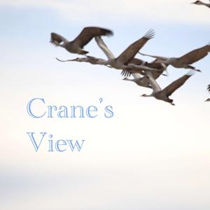 Crane's View