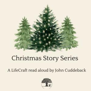 LifeCraft Christmas Story Series