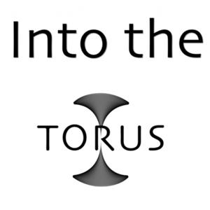 Into the Torus