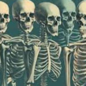 Seeing Your Skeleton