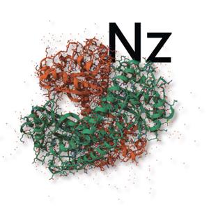 Last Week at nzyme