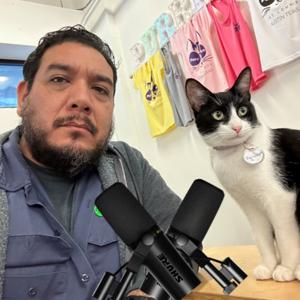 South Texas Podcasts