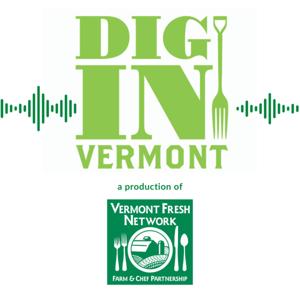 The DigInVT Podcast