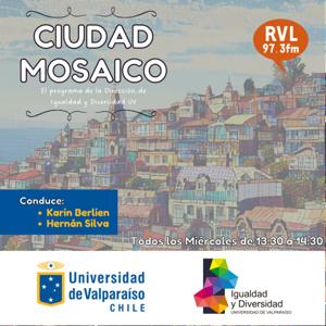 Ciudad Mosaico: El espejo de la diversidad