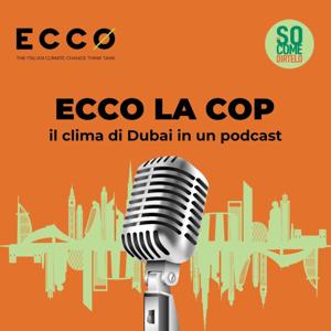 ECCO la COP! Il clima di Dubai