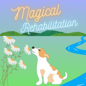 Magical Rehabilitation