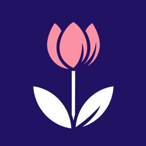 The Dorothy House Podcast