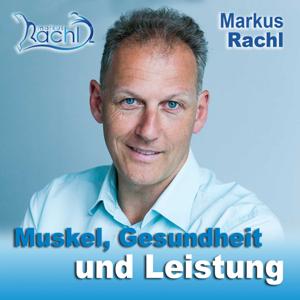 Muskel, Gesundheit und Leistung