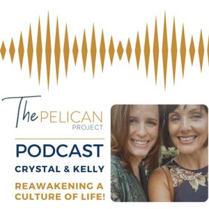 The Pelican Project