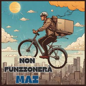 Non funzionerà mai!