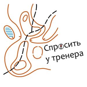 Спросить у тренера ◩