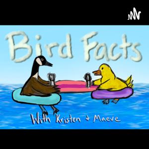 Bird Facts