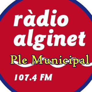 Plens Ajuntament d'Alginet