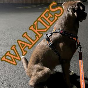 Walkies