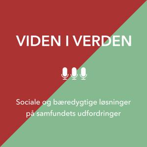 Viden i verden