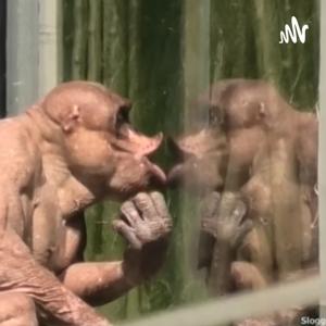 Just a Reminder Boxing Talk