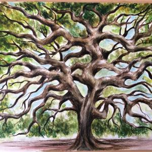 Inara & The Tree of Souls- An Anthology of Tales & Poems
