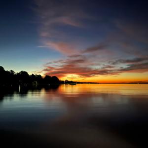 Feathers and Fins Podcast