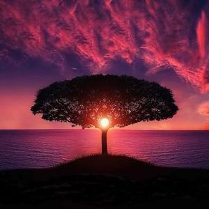 Grace of Demission