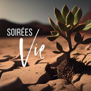 Soirées Vie