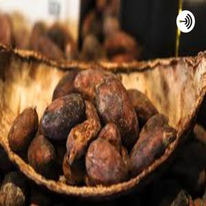 The Bean Bar