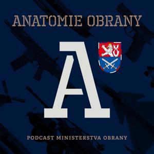 Anatomie obrany