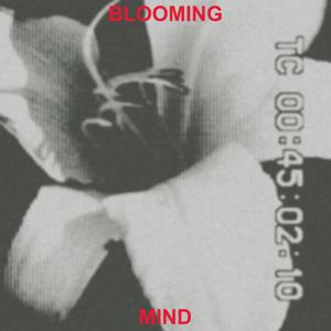 Aleyna’s blooming mind