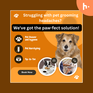 Professional Pet Grooming Services: Treat Your Pet the Best Care