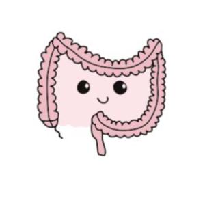 Microbiota intestinal: microorganismos aliados internos de la Salud