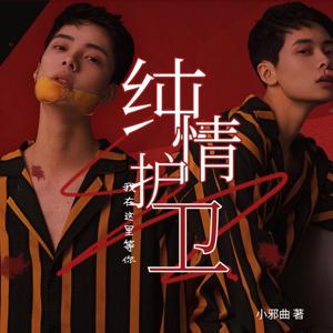 纯情护卫 都市现代 总裁