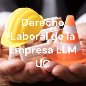 Derecho Laboral de la Empresa LLM UC