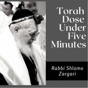 Torah dose under 5 minutes