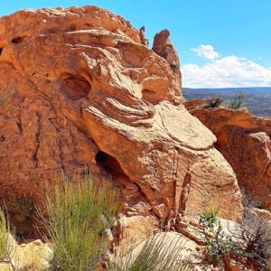 Sacred Technology: Medicine Path, Prayer, & Beauty Way Consciousness