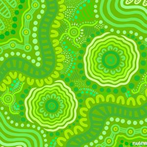 The Big Mob, STEM it up Project