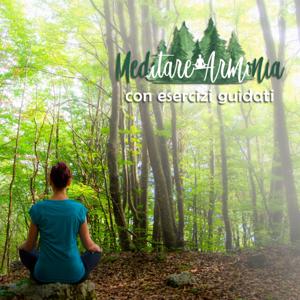 MeditareArmonia