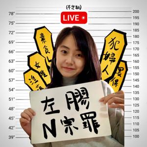 左膠N宗罪