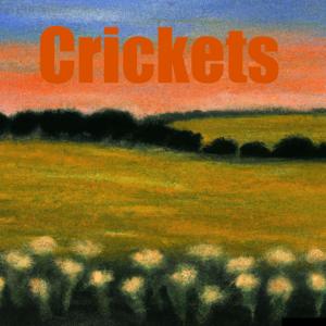 Crickets
